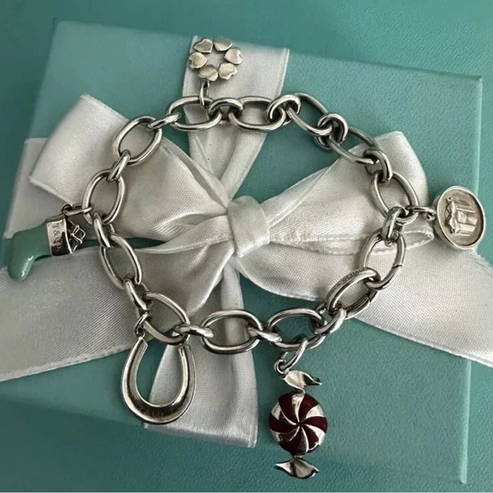 Tiffany & Co Oval Open End Links Charm SS Bracelet Bon Bon Horseshoe Stocking